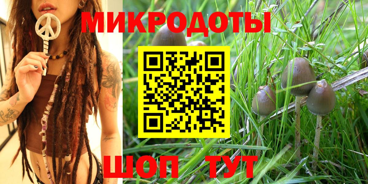 Псилоцибиновые грибы Cubensis  Галлюциногенные грибы GOLDEN TEACHER  Вход с VPN  Нягань 